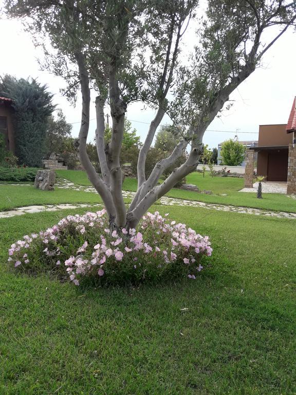 Beautiful Sani Villa Exteriör bild